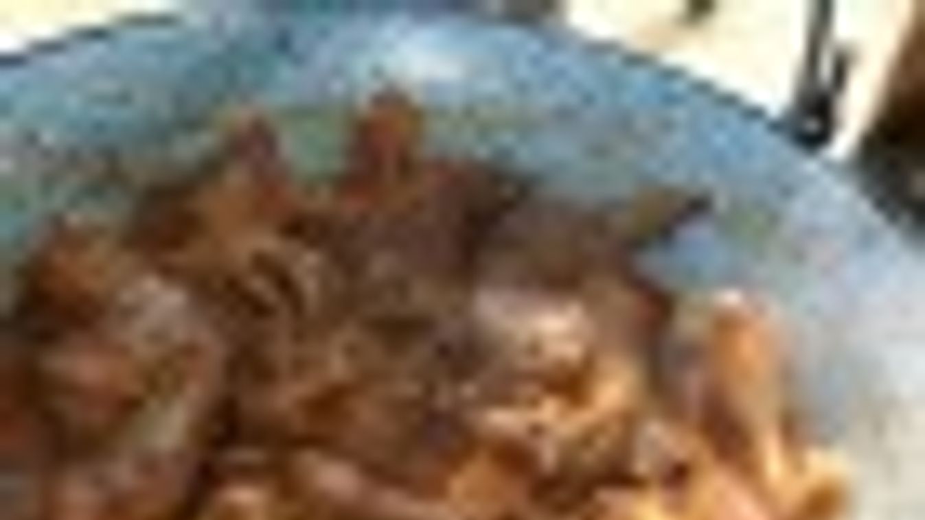 Több mint 50 bográcsban főtt a dorozsmai kakaspörkölt + FOTÓK