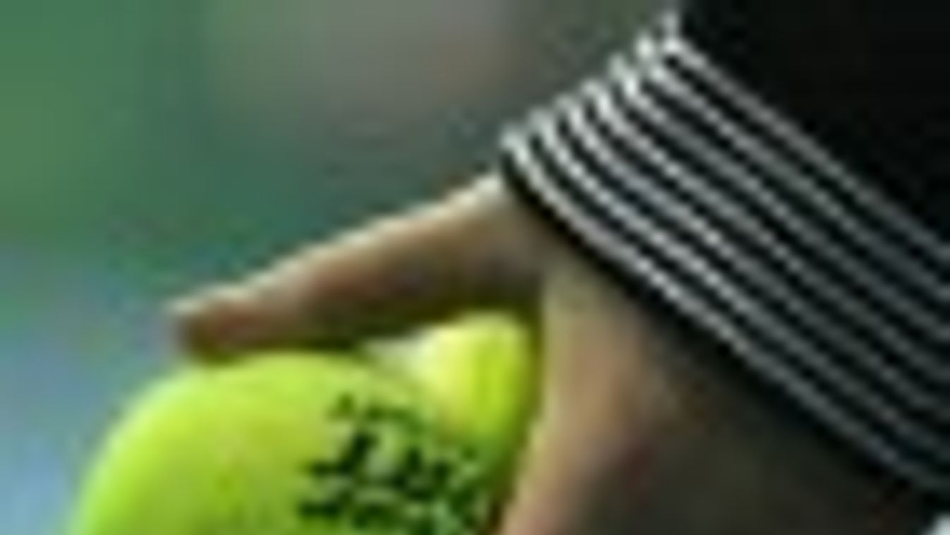 Tenisz: Madarász sima győzelemmel mutatkozott be, Fucsovics egy játékot vesztett