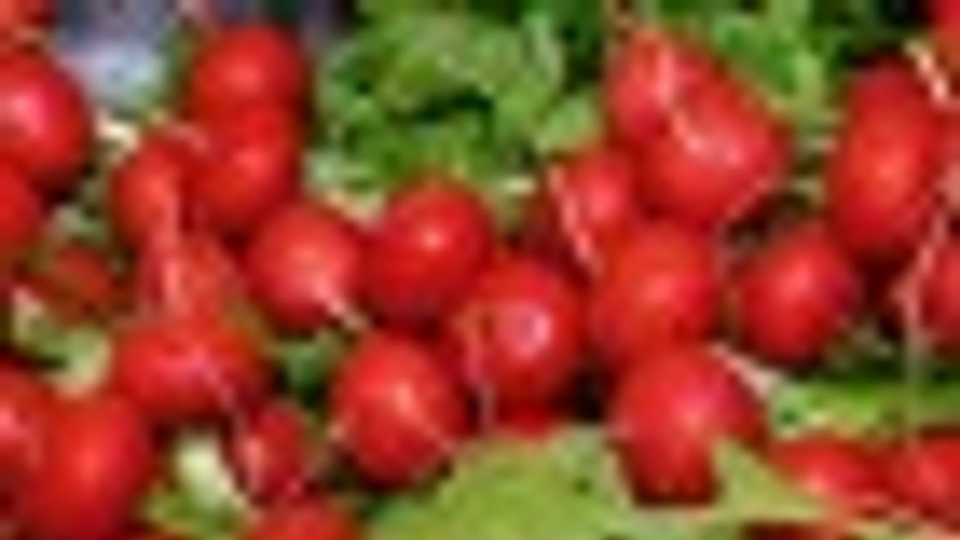 Egyre több magyar zöldséget és gyümölcsöt exportál a Lidl