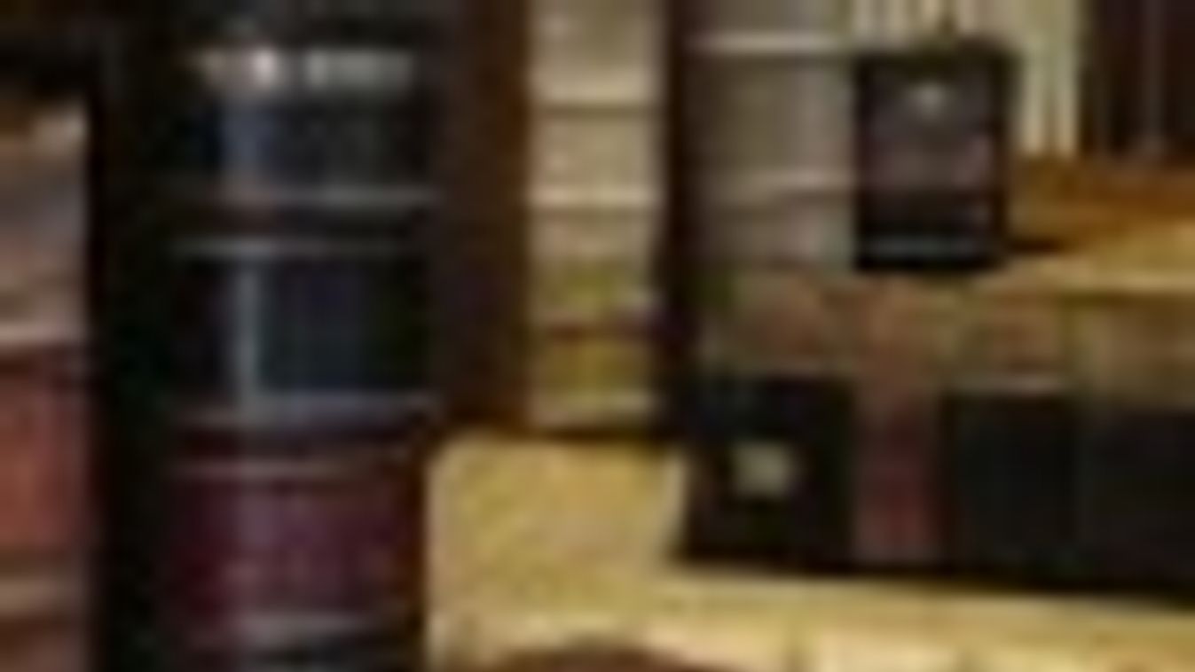 A londoni mackók a Petőfi-telepi fiókkönyvtárban