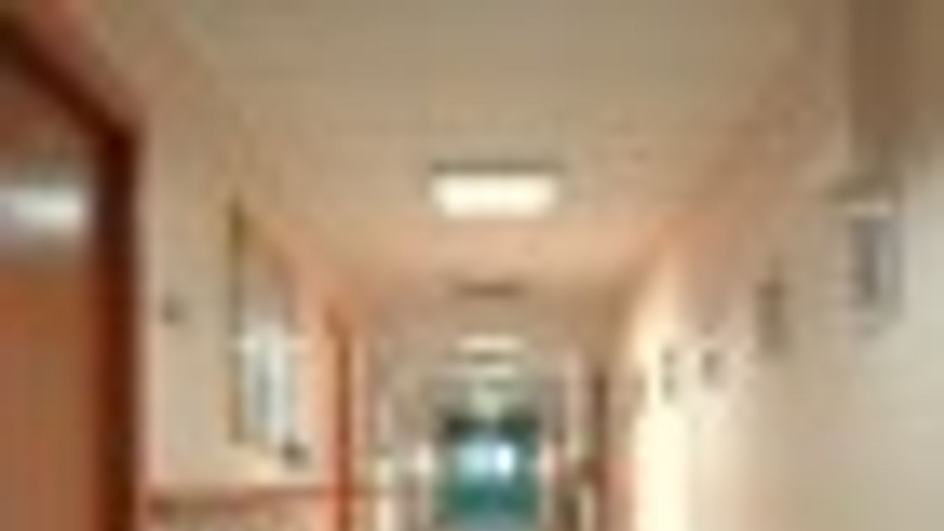 Nappali kórházat alakítottak ki a kakasszéki gyógyintézetben