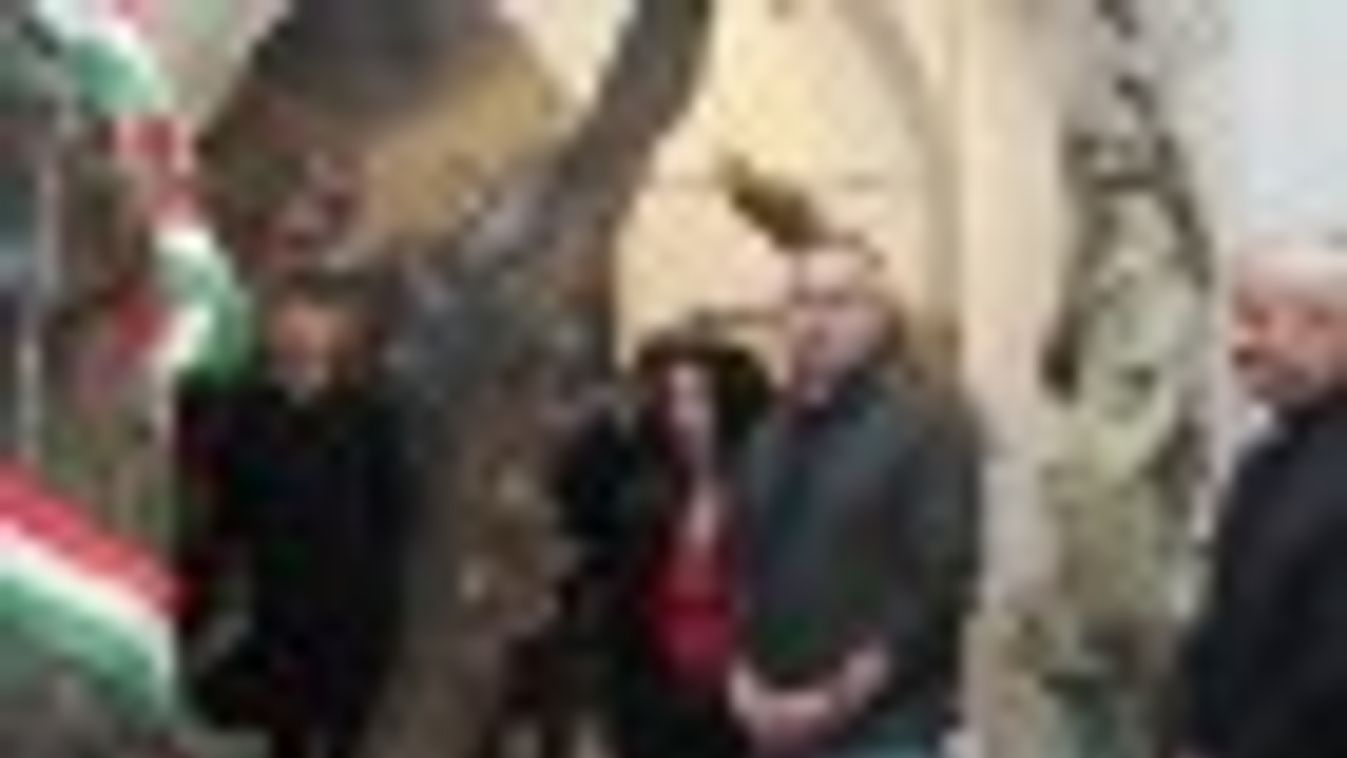 Szegedről Rómába megy a Doberdói fa