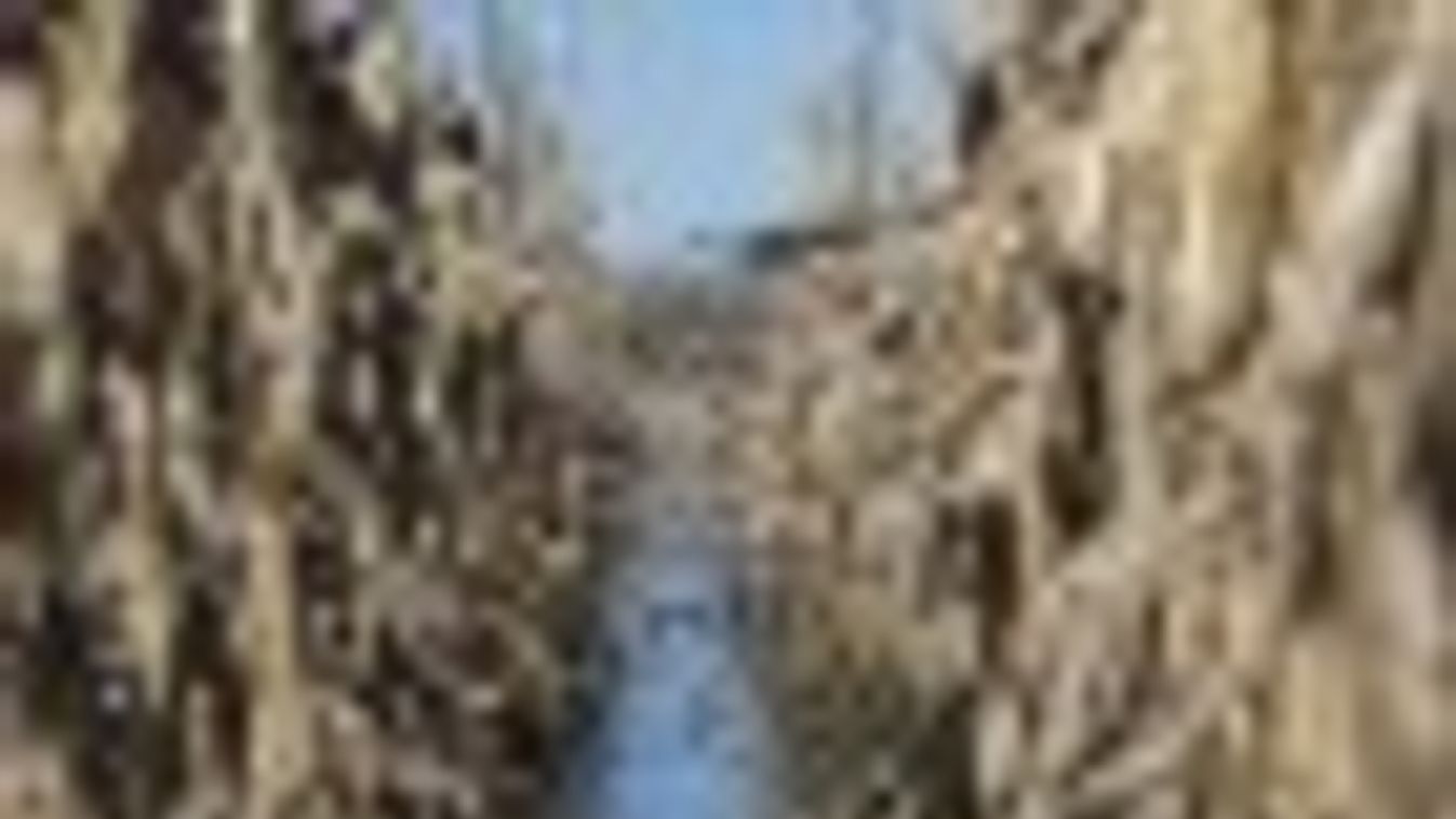 Közel hatezer hektár áll víz alatt az Alsó-Tisza vidékén