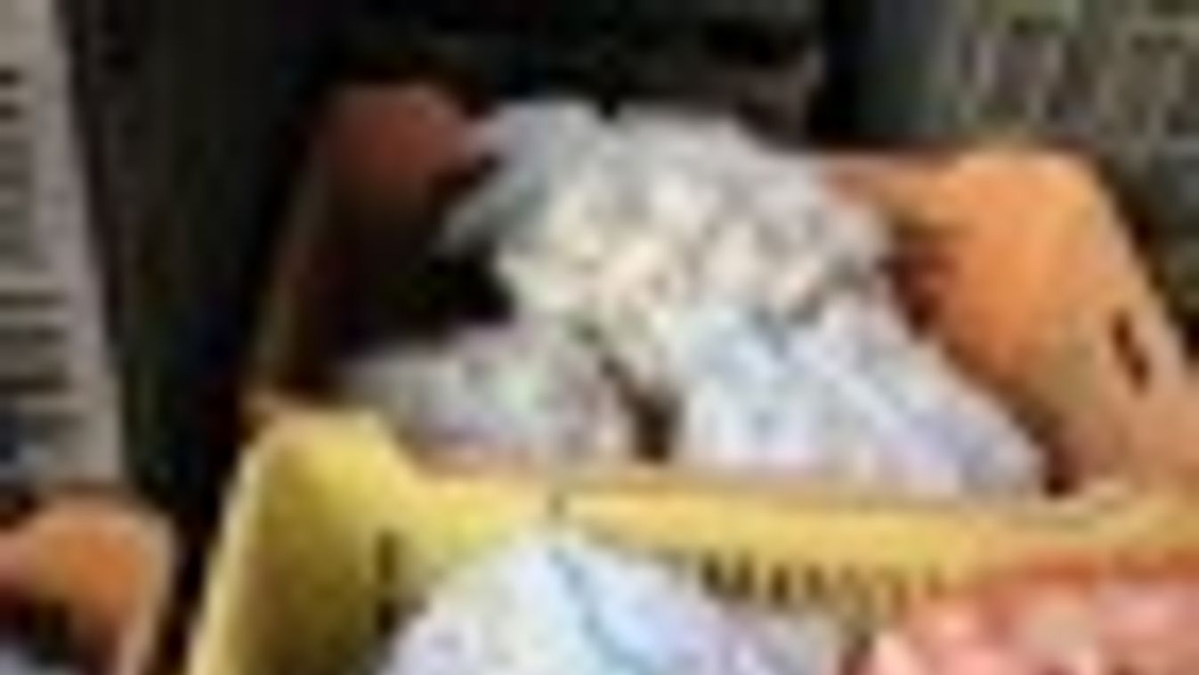 Több mint 300 kilogramm fokhagymát szereztek vissza tolvajoktól a makói rendőrök