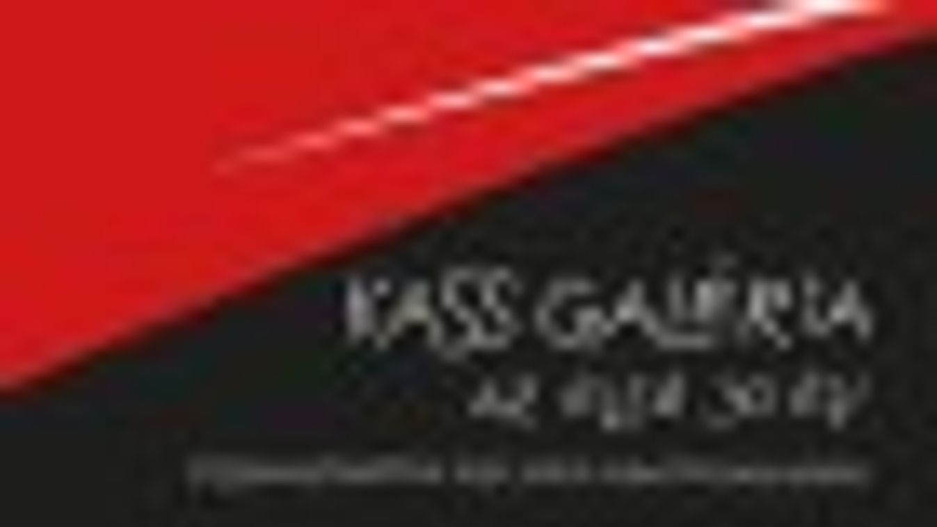 Az első 30 év – A frissen megjelent Kass-kötet bemutatója