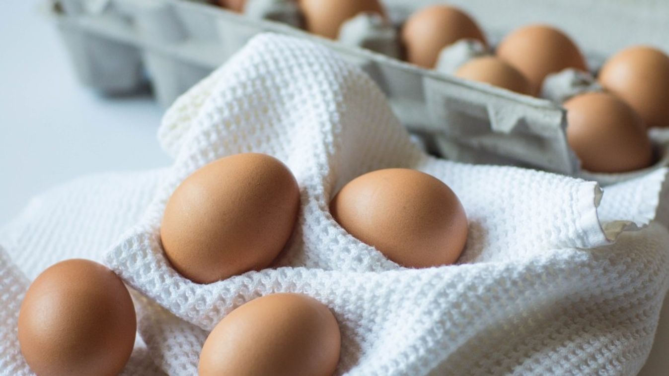 Két feljelentést tett a Nébih a szennyezett tojások ügyében