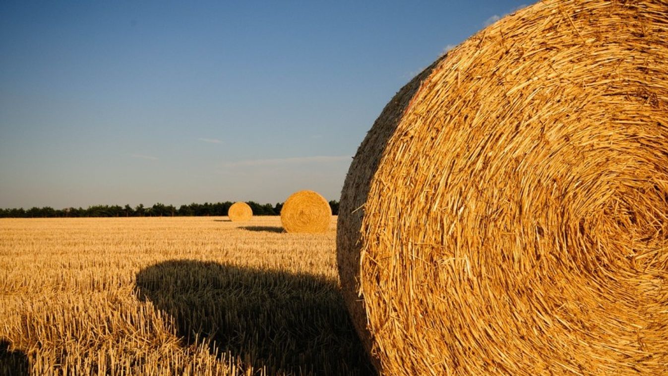 Czerván: fordulat történt a mezőgazdaság finanszírozásában
