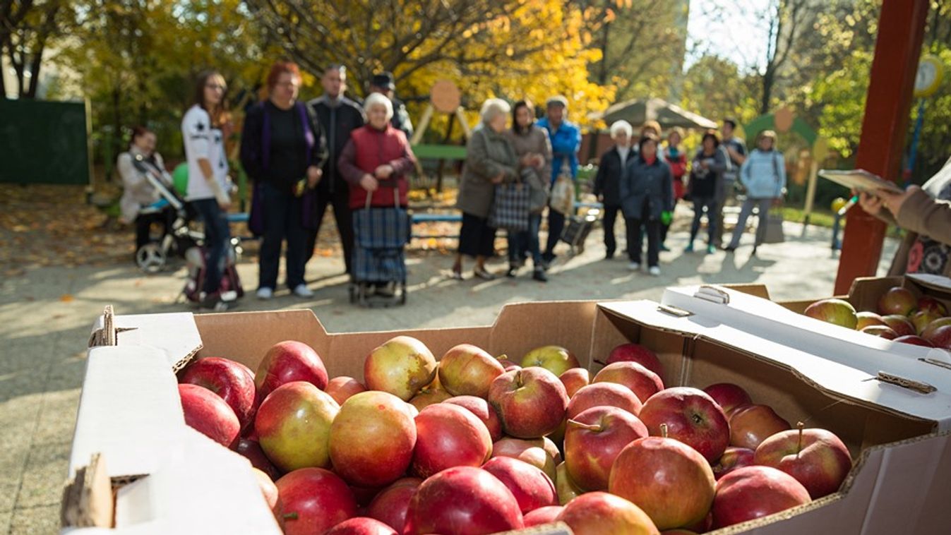 Elindult a magyar alma fogyasztását és vásárlását ösztönző kampány