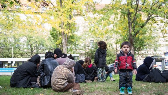 A Fidesz szerint Botkának fontosabbak a migránsok, mint a magyar gyerekek