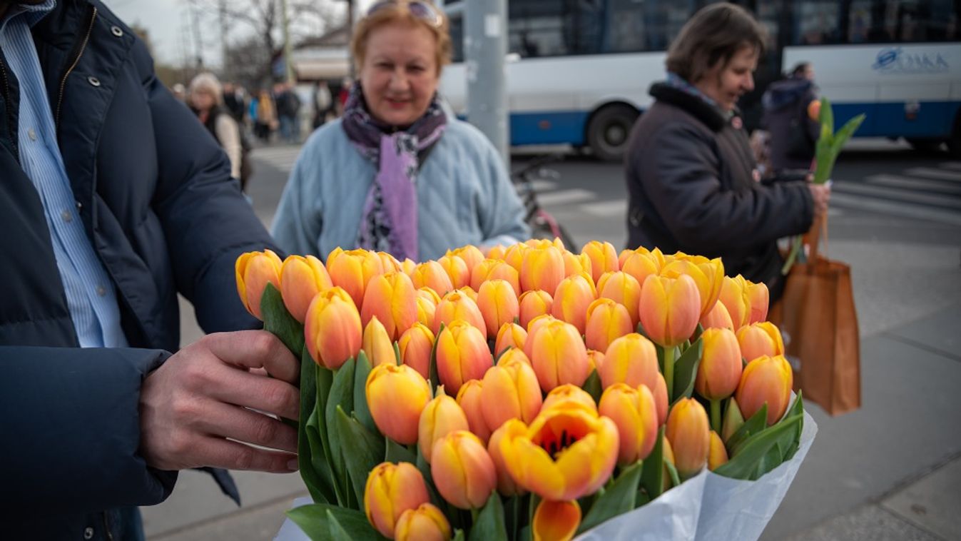 Virágokkal köszöntötték a szegedi hölgyeket a Fidesz képviselői