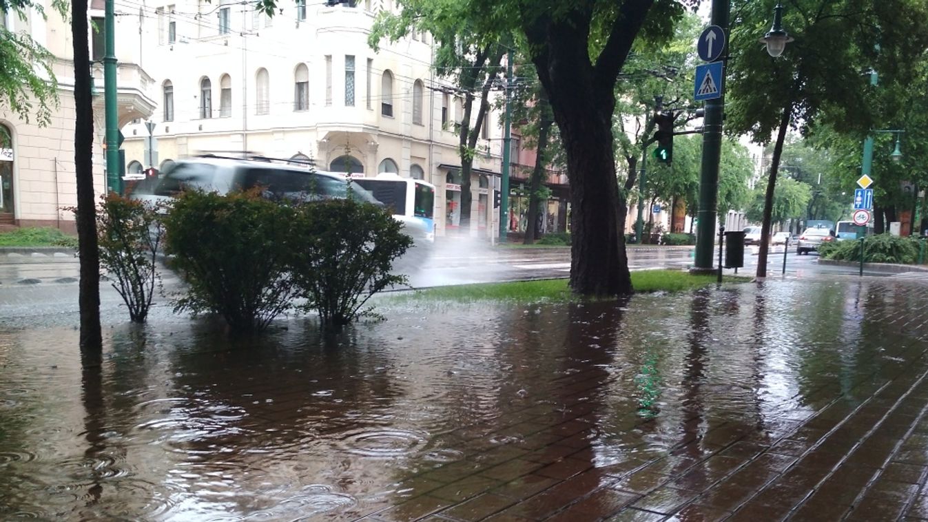 Esett és Szeged elesett - új kifejezés a városban: Botka-tócsa