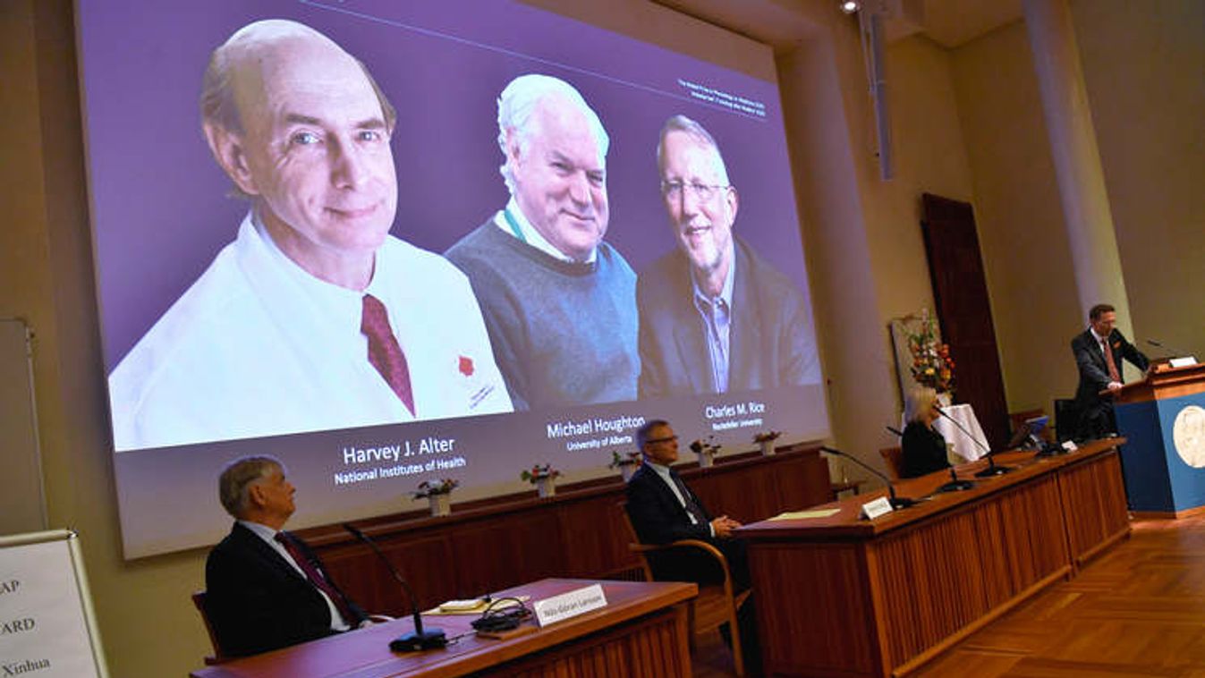 A hepatitis C felfedezéséért ítélték oda az idei orvosi Nobel-díjat