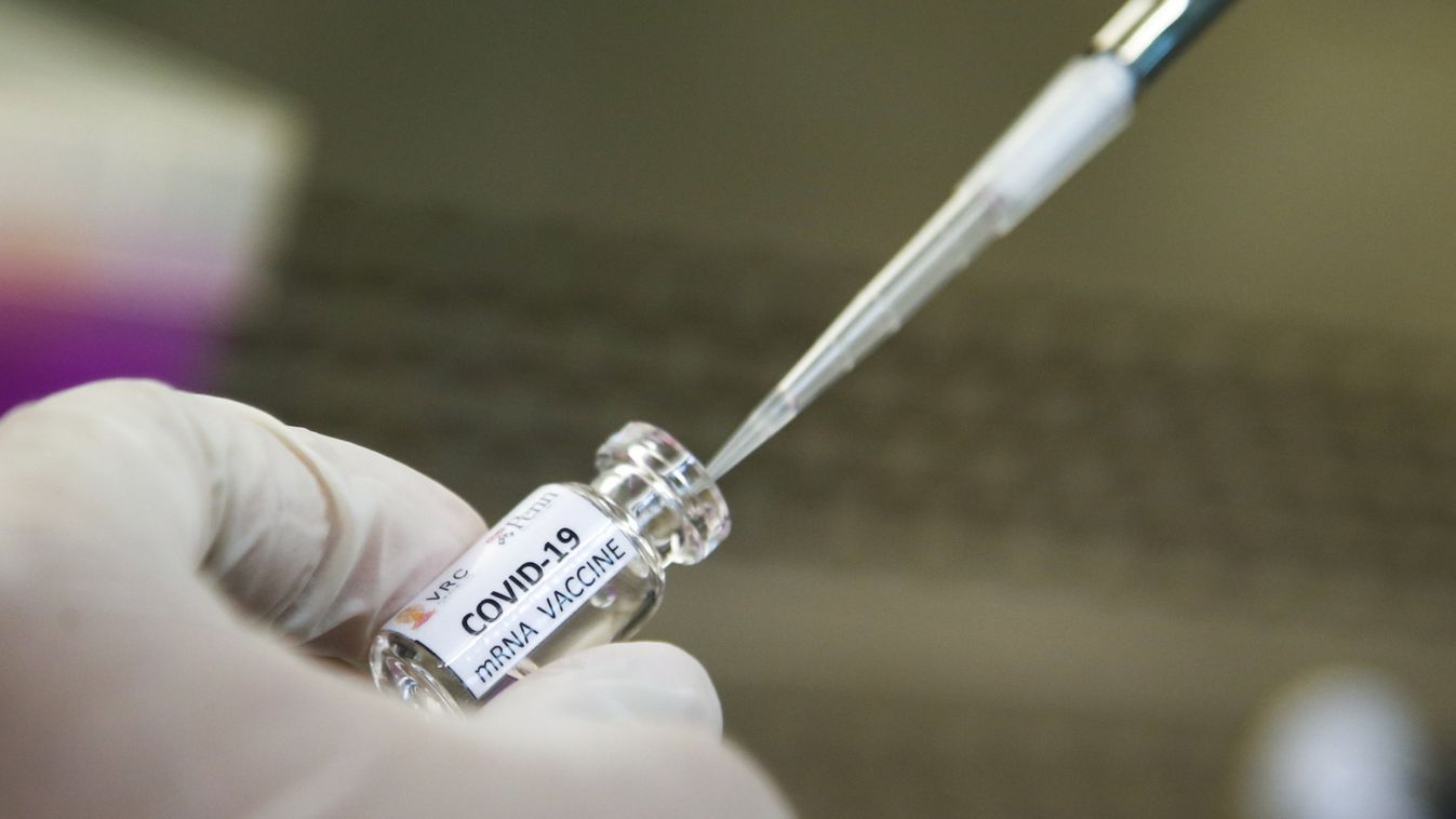 Megkezdődött a regisztráció a koronavírus-oltásra