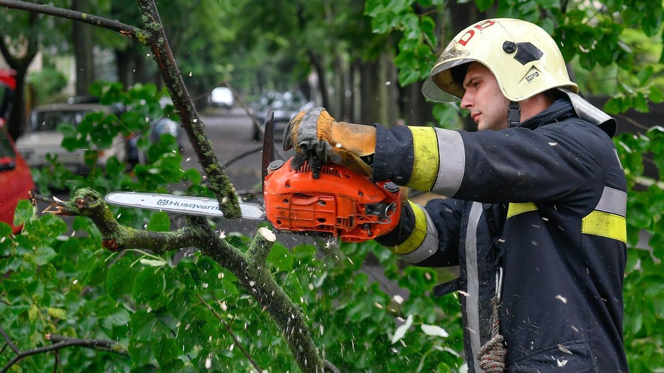 Balesetveszélyes fákat vágtak ki Szentesen és Szegeden