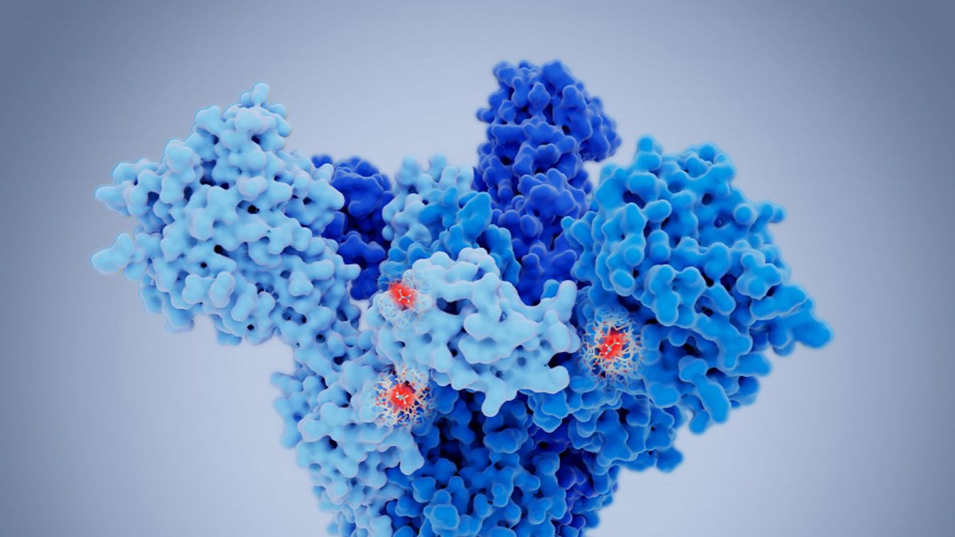 Ezt lehet tudni eddig a koronavírus új mutánsairól