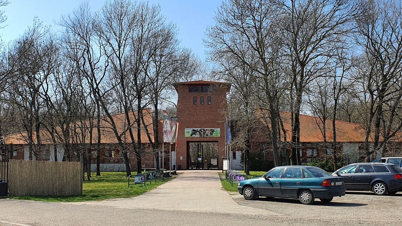 55 milliós állami támogatást kapott a Szegedi Vadaspark