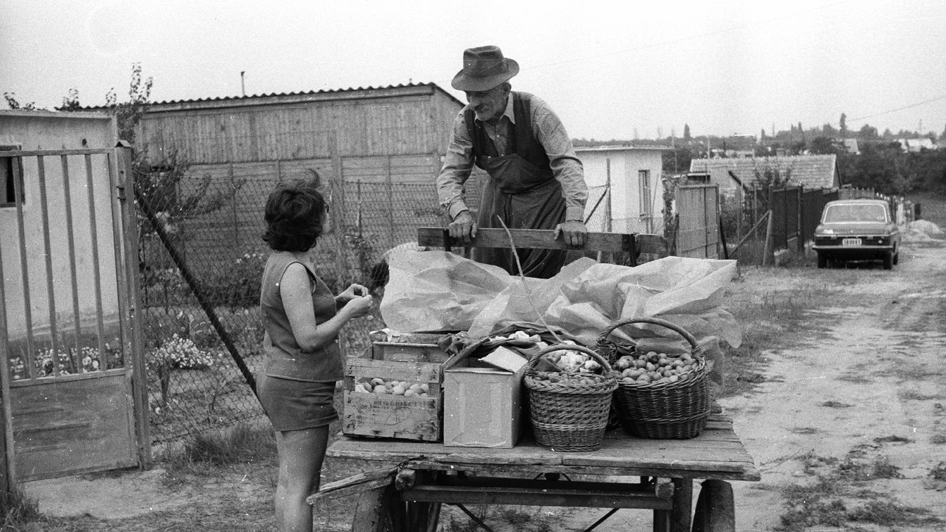 Kiskert-életérzés egykor: az önmegvalósítás jelképe volt a hétvégi telek