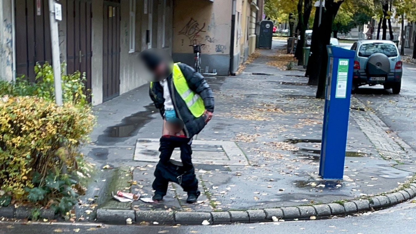 BOTRÁNY: fényes nappal végezte nagydolgát a nyílt utcán egy hullarészeg férfi!