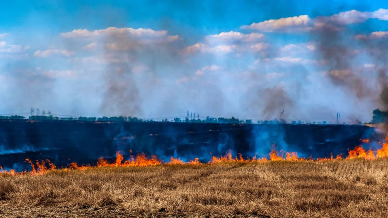 Több hektáron égett a gabona a megyében