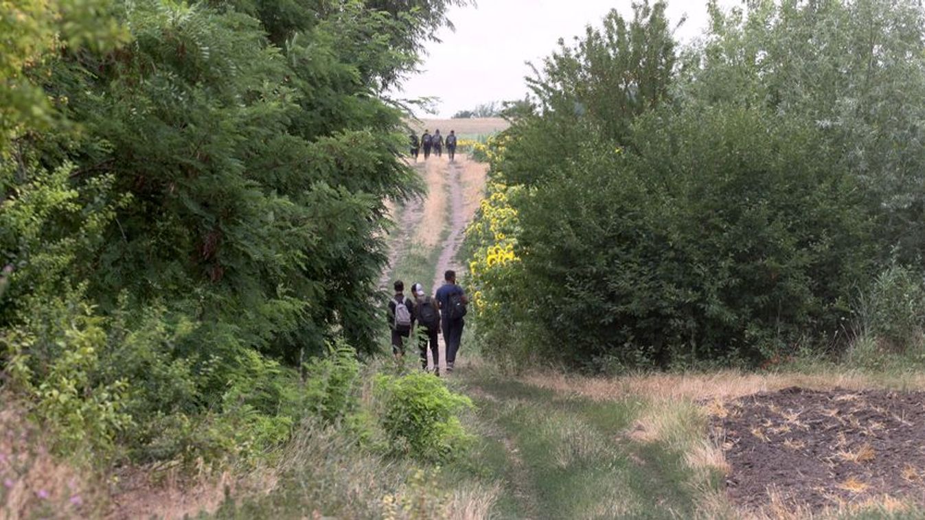 Ismét lövöldözés volt Szabadkán, a makkhetesi erdő közelében