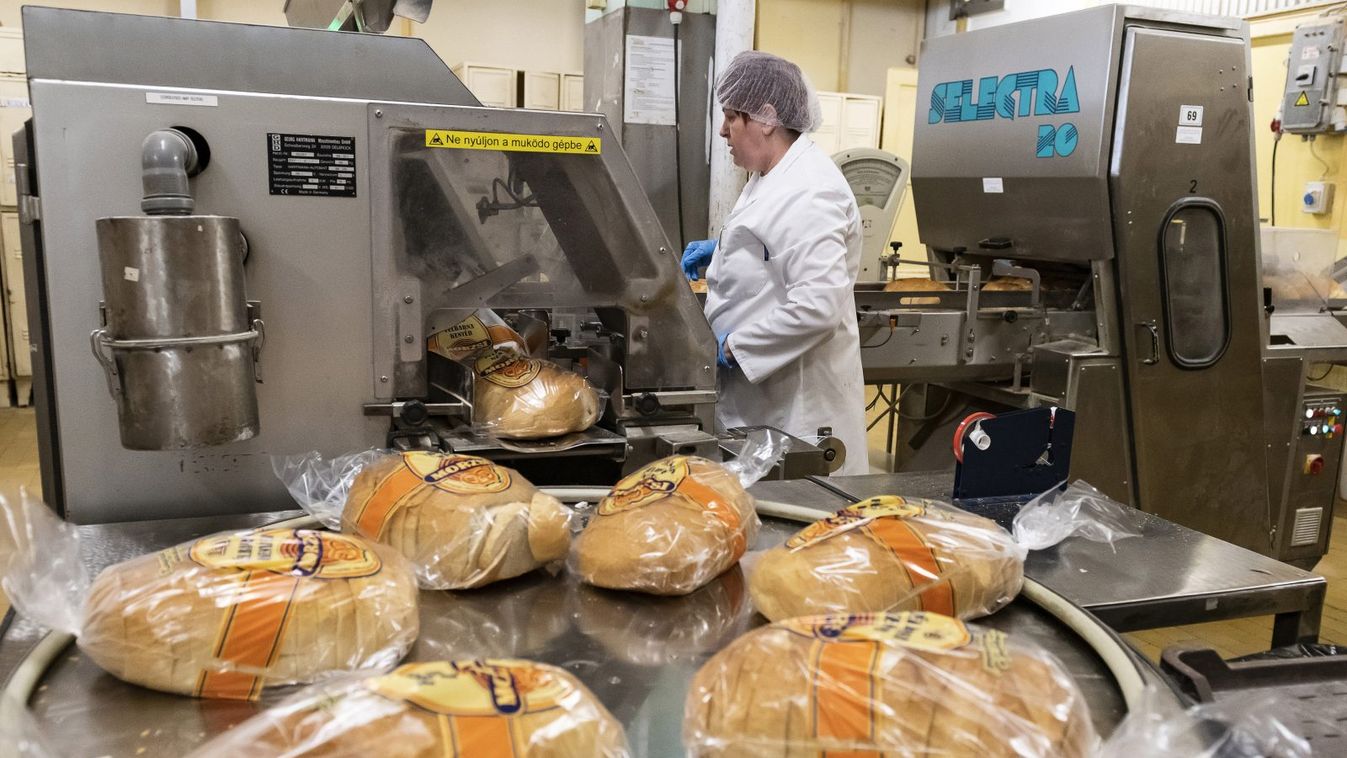 Nincs megállás: októberben még tovább drágulhat a kenyér