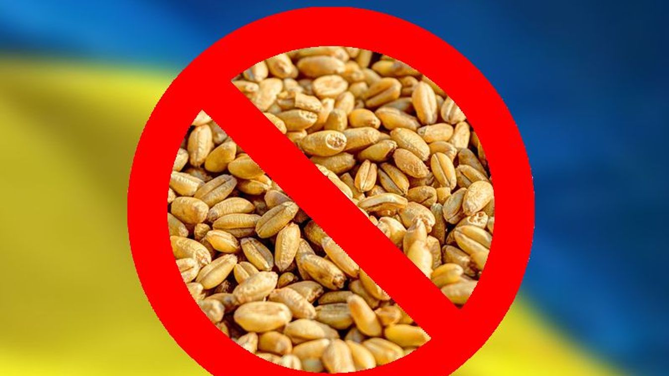 A kormány betiltotta az ukrán gabona importját