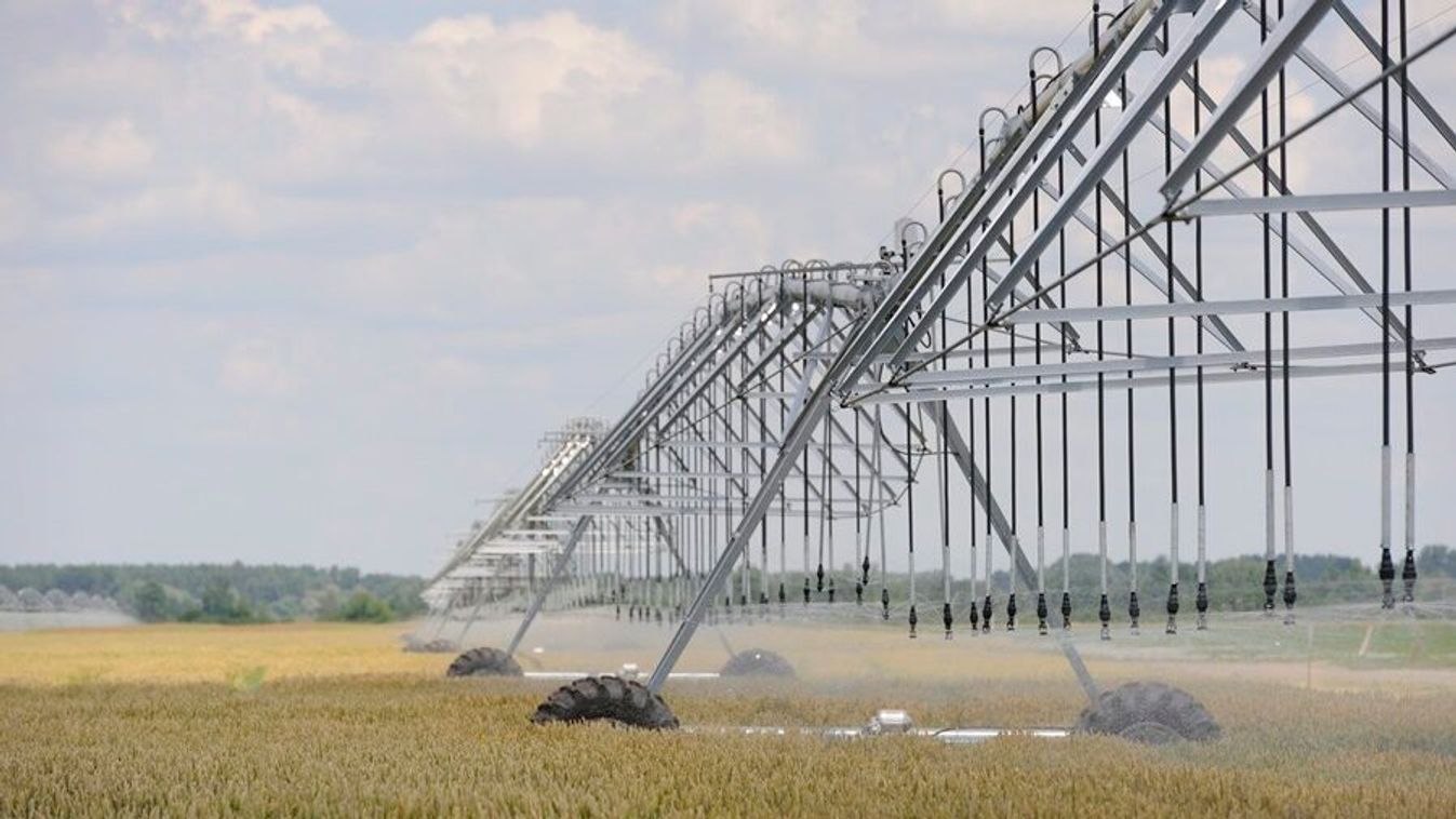 Újabb intézkedésekkel fékezi az ukrán gabonadömpinget az Agrárminisztérium