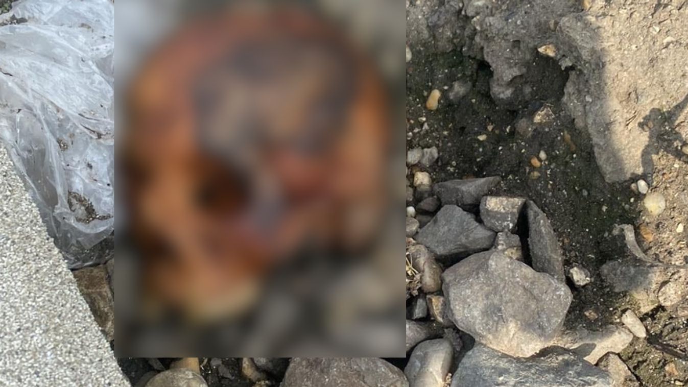 Emberi maradványokat találtak Szentmihályon, legalább 20 éve hunyhatott el