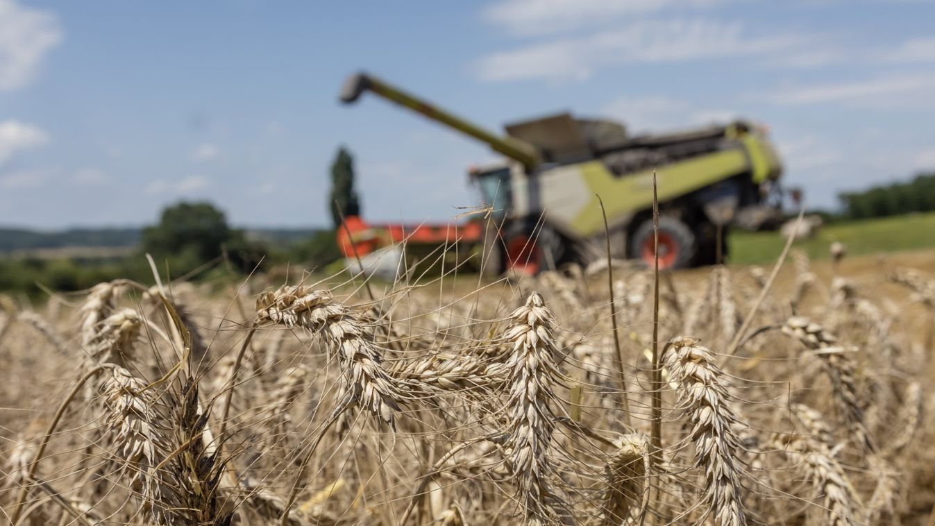 Agrárminisztérium: végéhez közeledik az idei nyári aratás