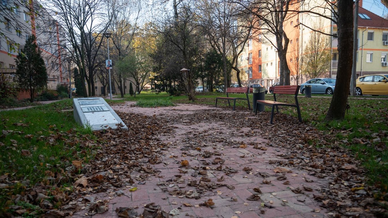 Zöldhulladék temeti maga alá Odesszát