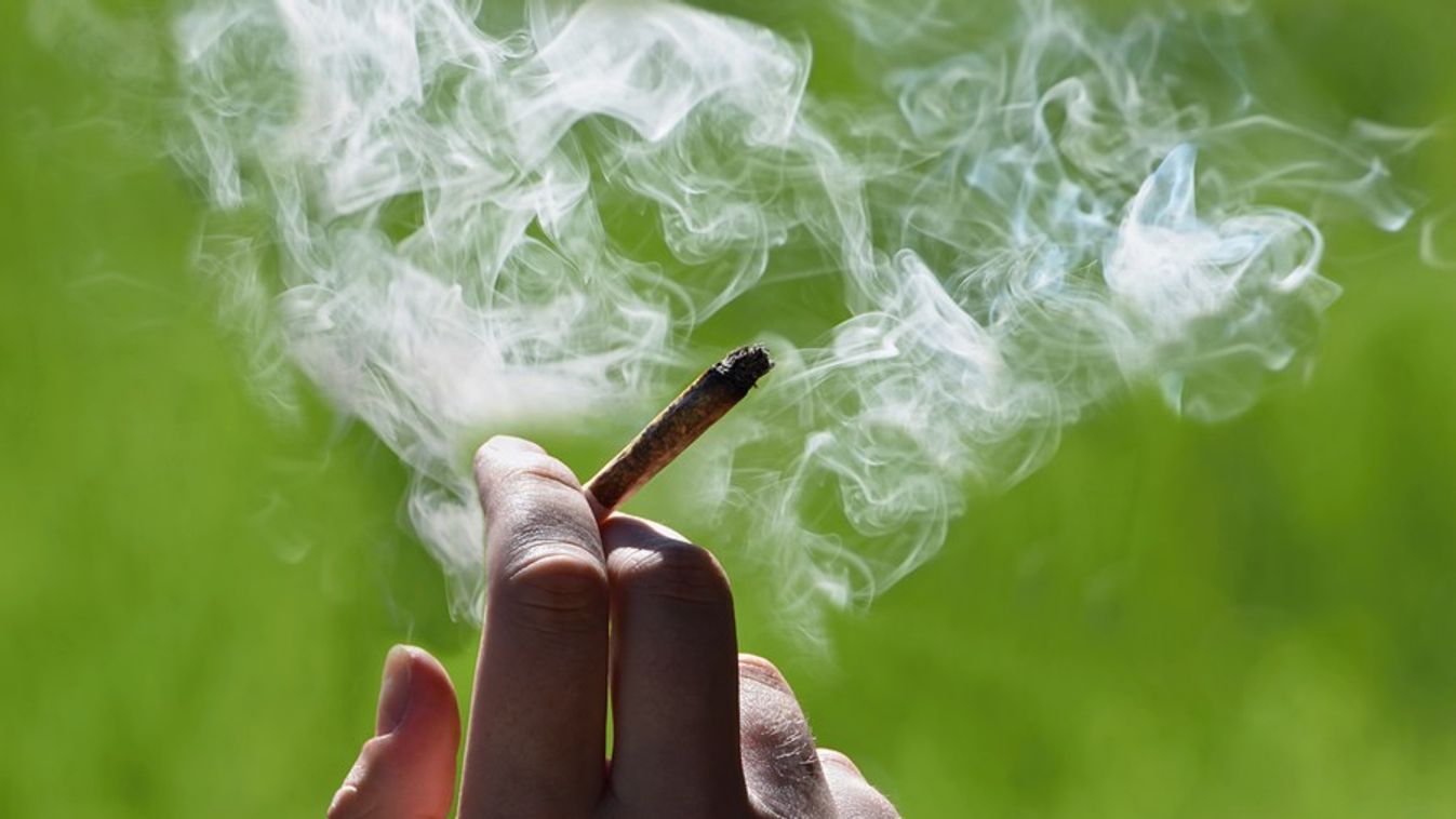 Két kilogramm marihuánát találtak egy macedón buszban Röszkén