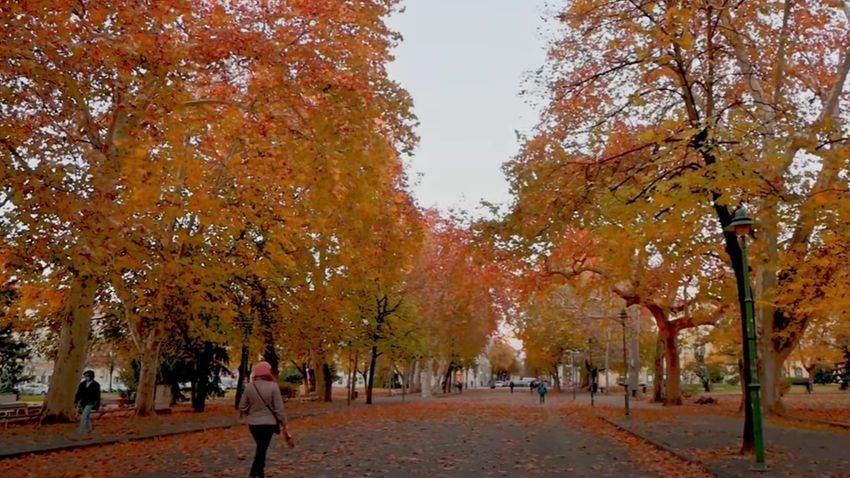 Merüljön el az őszi színekben pompázó szegedi belvárosban – videó!