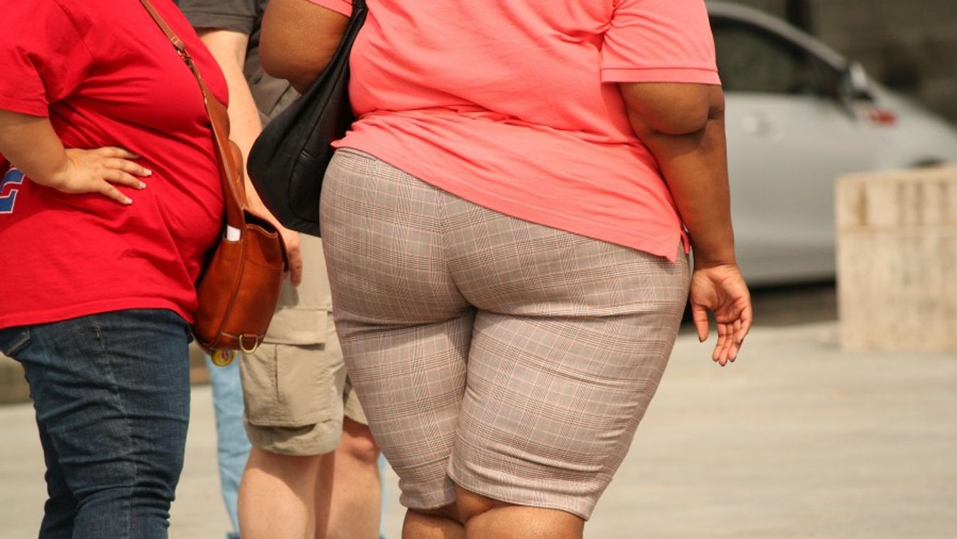 Megfejtették az elhízás és a vastagbélrák közötti összefüggést