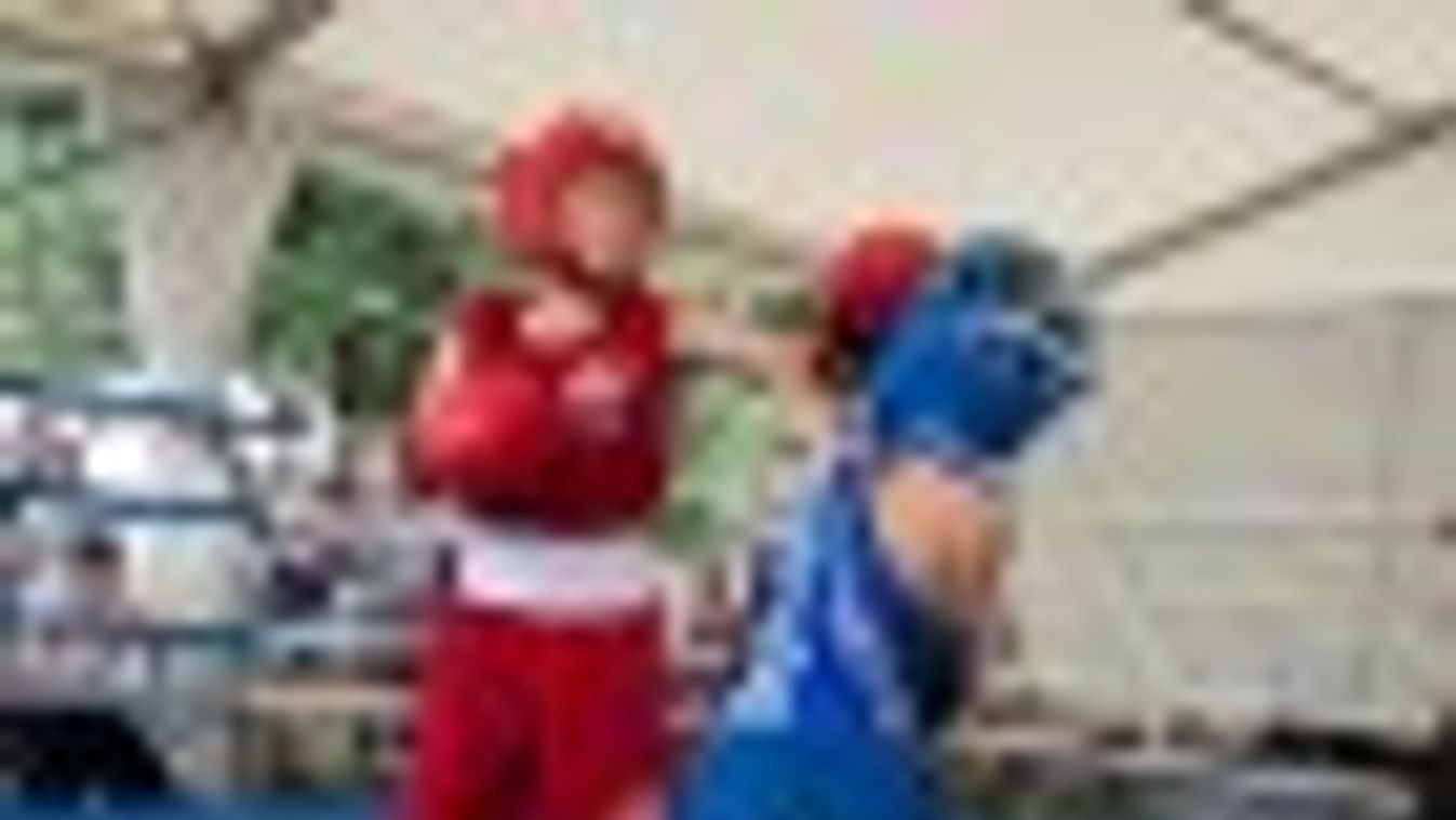 Tíz egyesület bokszolói húztak kesztyűt az I. Faragó Kupán + FOTÓK