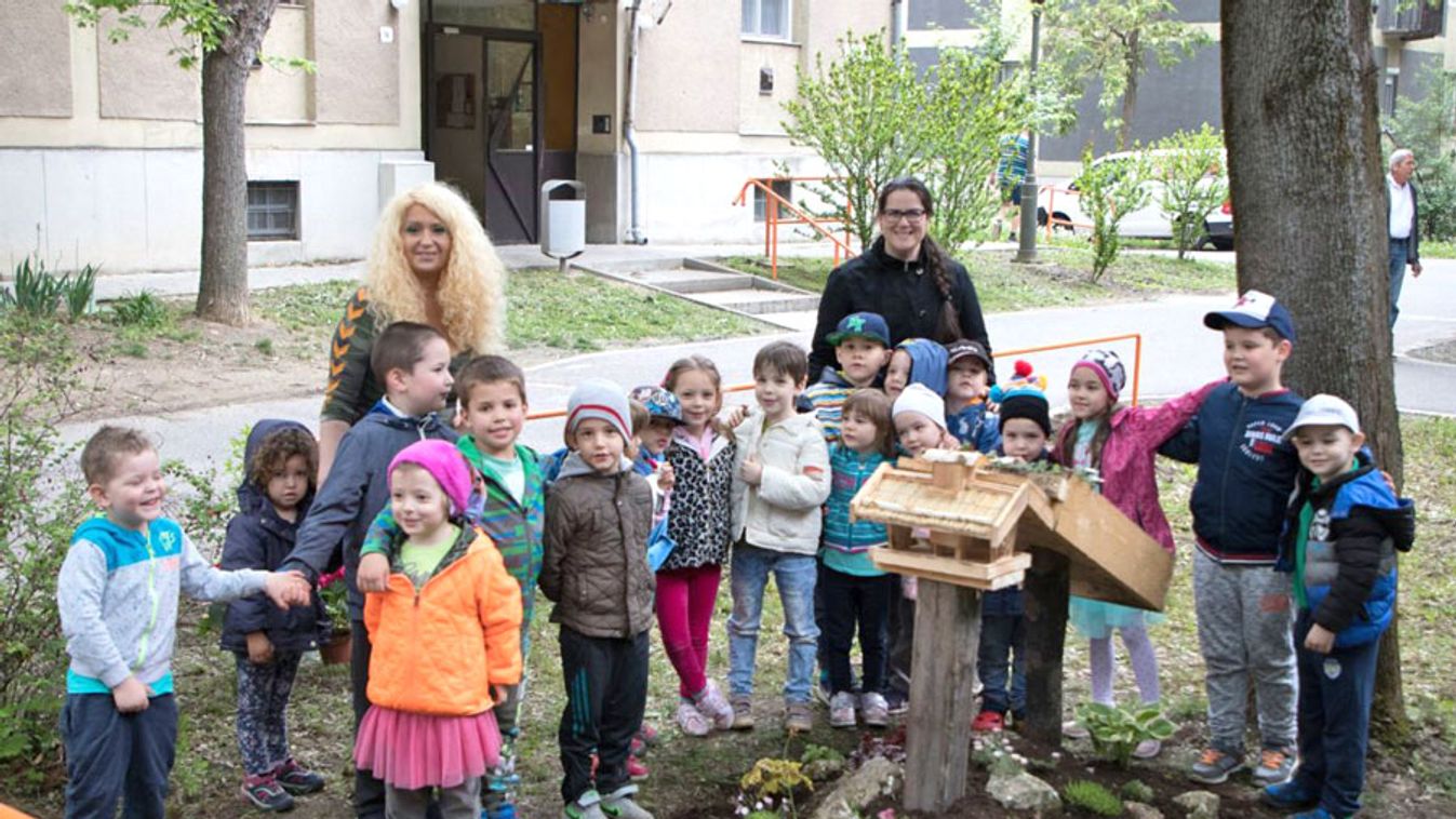 Környezetvédelmi díjat kaphat egy vásárhelyi képzési projekt