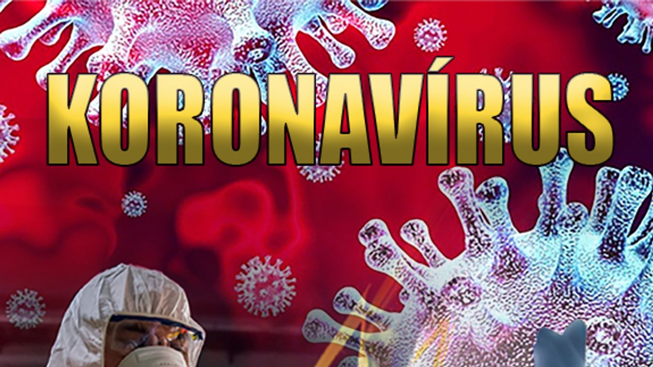 Megvan a második gyógyult koronavírusos beteg Magyarországon