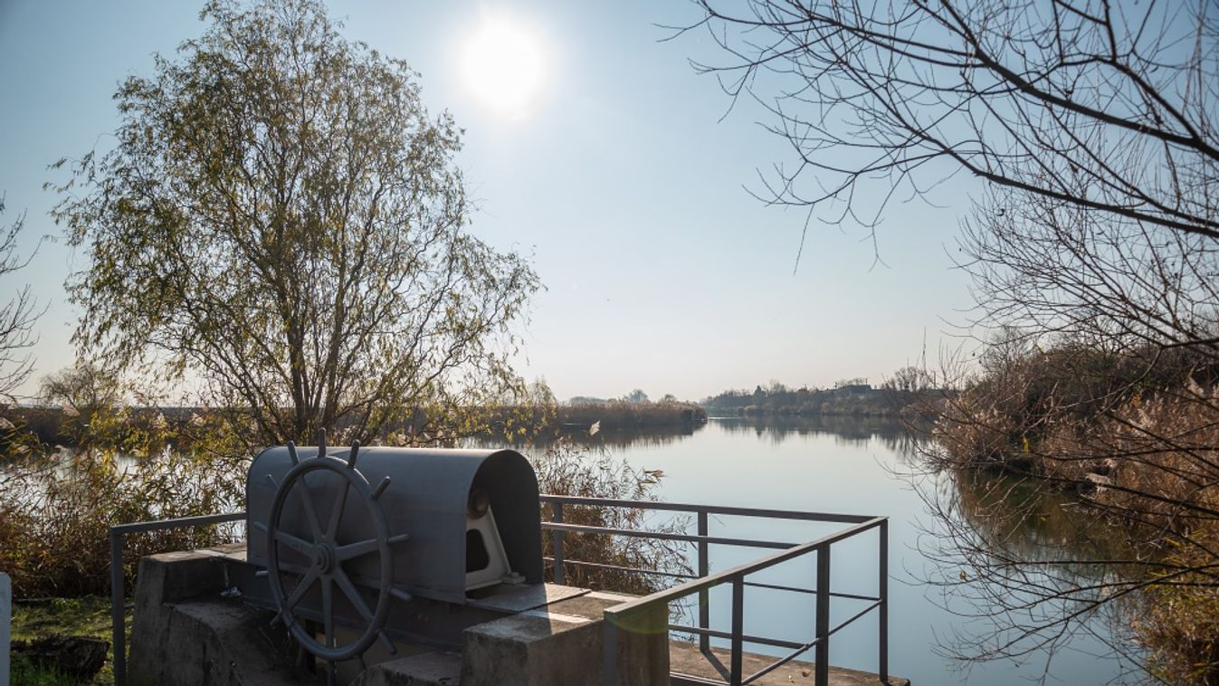 Végéhez közeledik a Gyálai-Holt-Tisza rehabilitációjának tényfeltárási szakasza