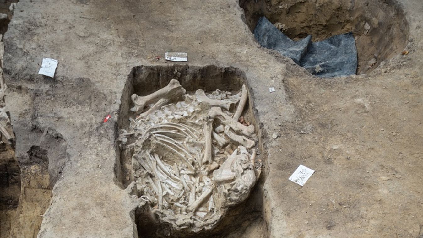 Avarkori sírokat találtak egy épülő családi ház udvarán Baktóban