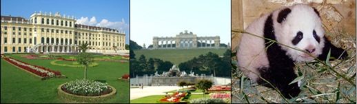 schonbrunn01