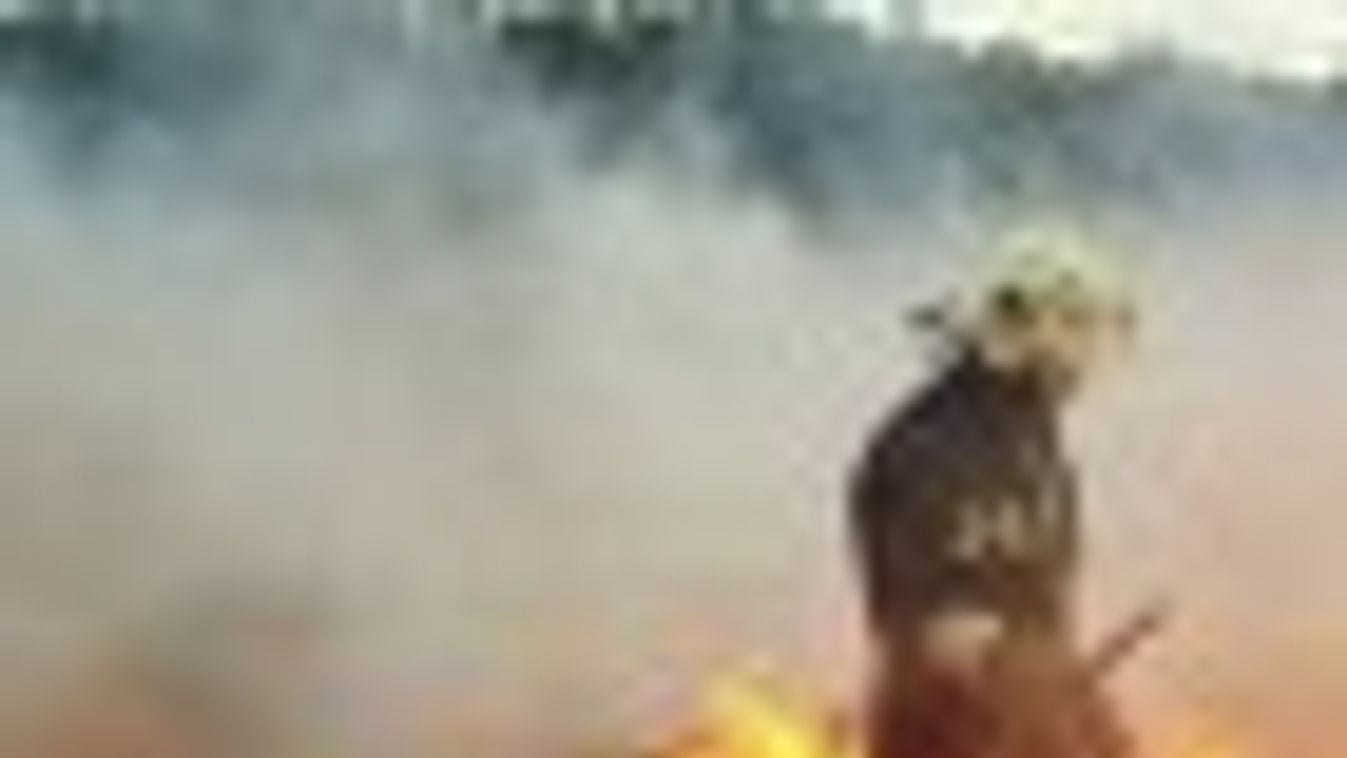 Gázszivárgás, nádas és szalmabála tűz is volt pénteken Csongrád megyében