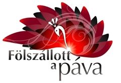 pava_logo