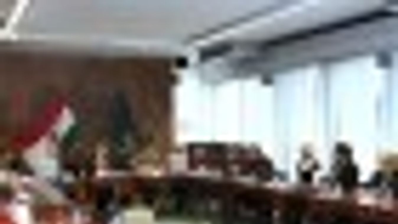 Megyei közgyűlés: a bizottságokon kezdi a spórolást a megye (FRISSÍTVE) + FOTÓK