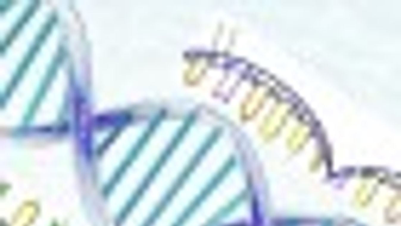 Mit ígér a gén és a génterápia?