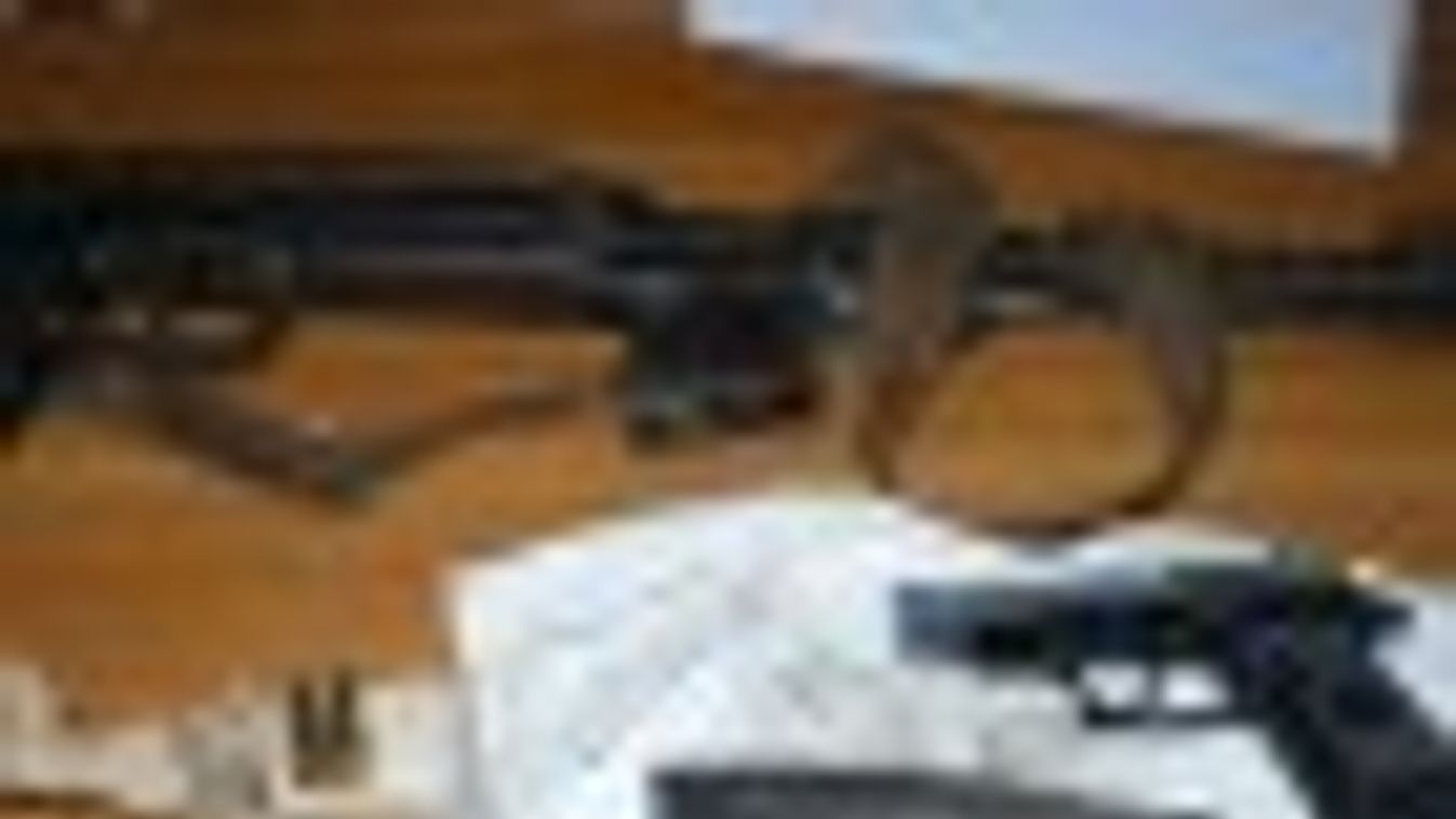 Gépfegyvert találtak egy szerb kamionban Röszkénél