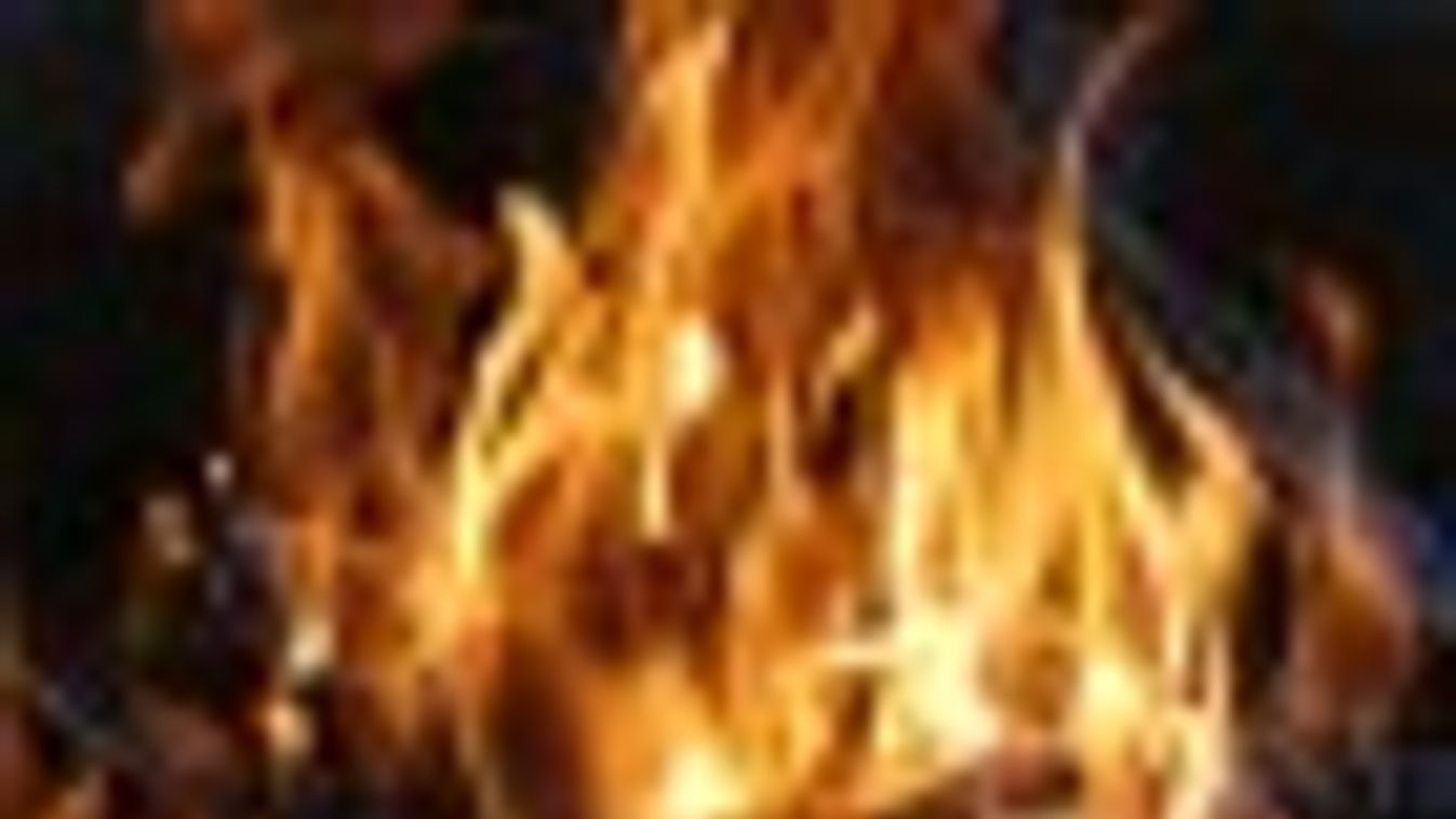 OKF: a szabadban keletkezett tüzek 99 százalékát emberek okozzák