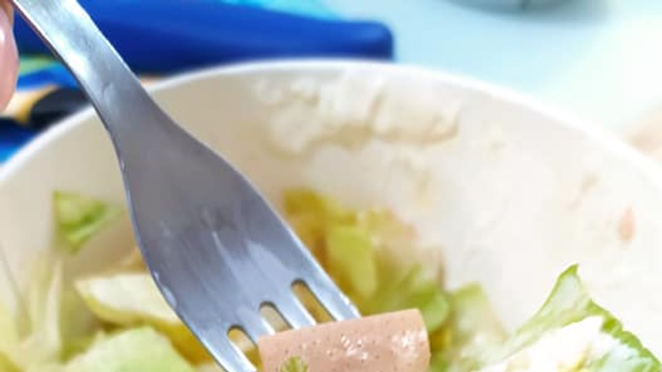 Gusztustalan: ragtapaszt találtak egy szegedi étterem salátájában