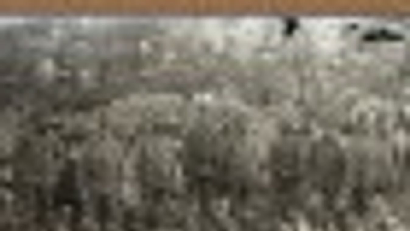 Szakmai konferencia és kiállítás Vásárhelyen az első világháború centenáriumán