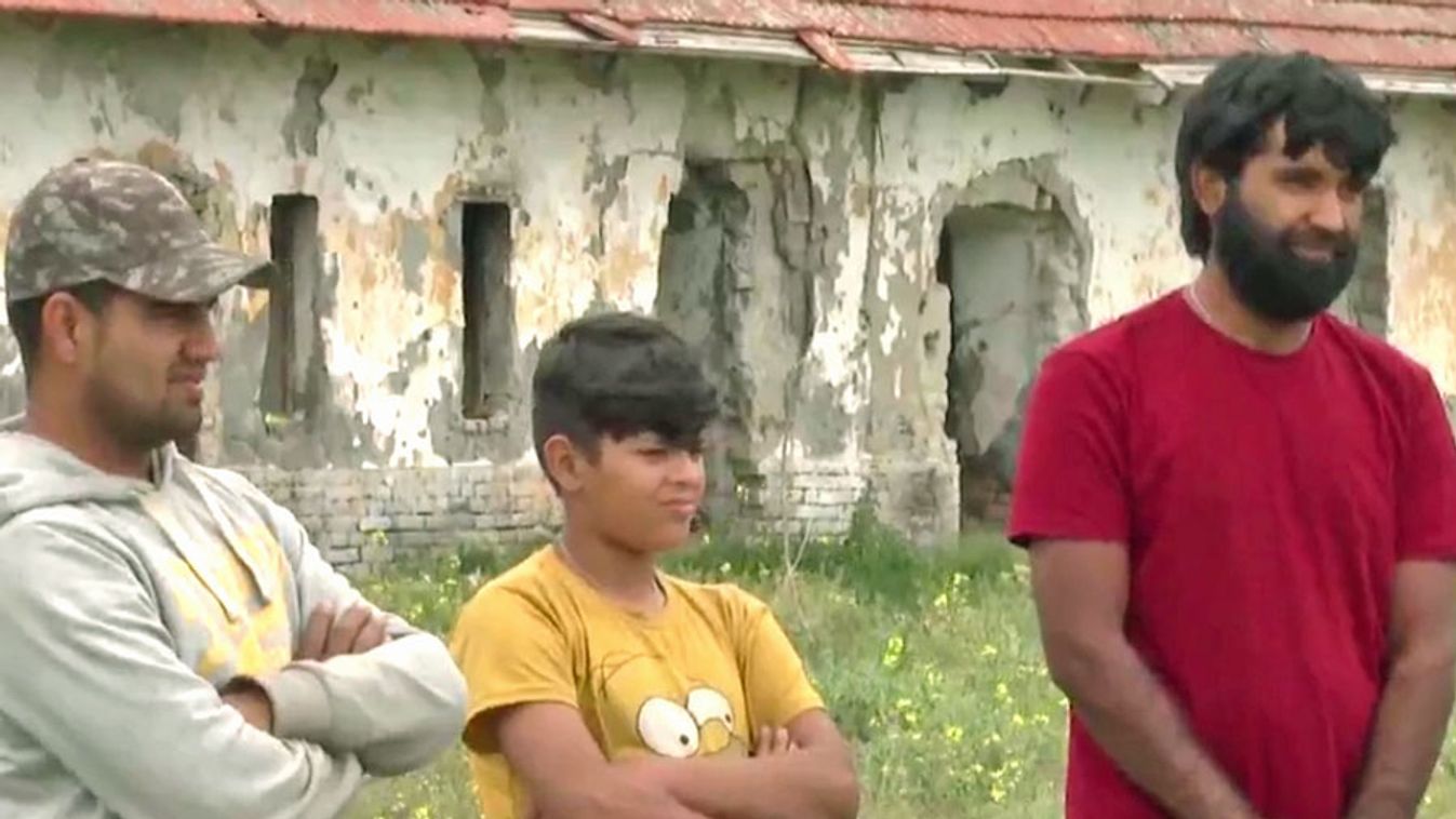 Megjelentek a migránsok a szerb–magyar határon - videó!