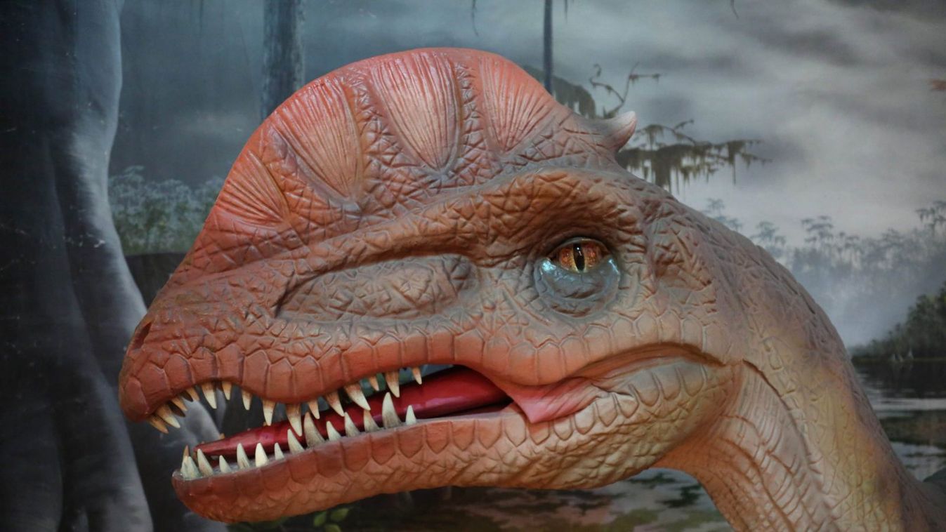 Egy hét alatt 10 ezer látogató – Óriási siker a dinó-kiállítás Szegeden
