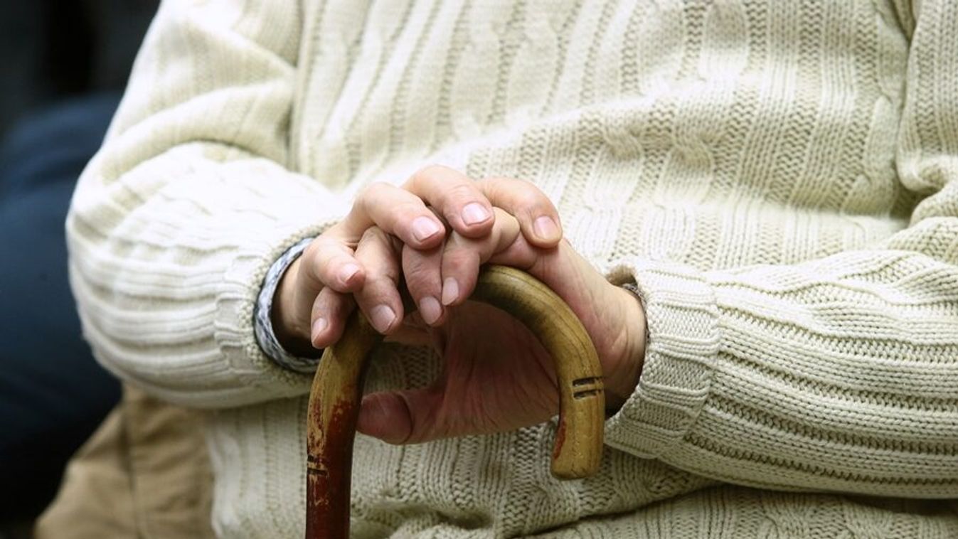 Hornung Ágnes: az idősek nélkül nem lenne jelenünk
